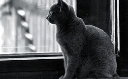 Depositphotos_6864031_original